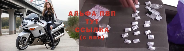 тгк Ростов