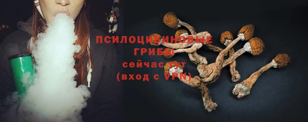 прущая мука Верея