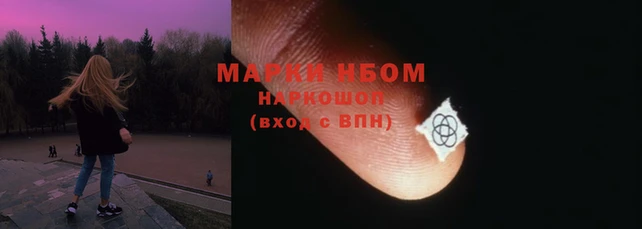 сатива Верхний Тагил