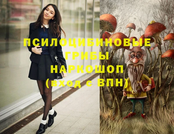 сатива Верхний Тагил