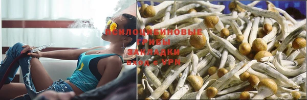 прущая мука Верея