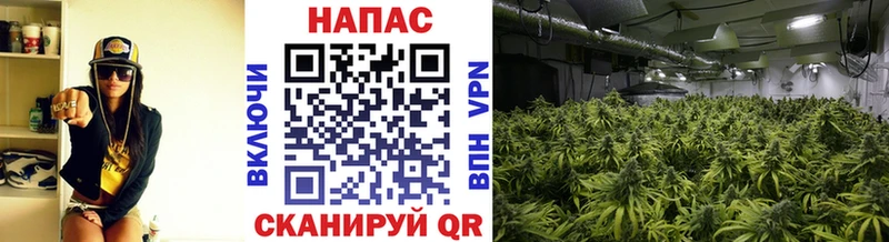 блэк спрут рабочий сайт  Осташков  Каннабис марихуана 
